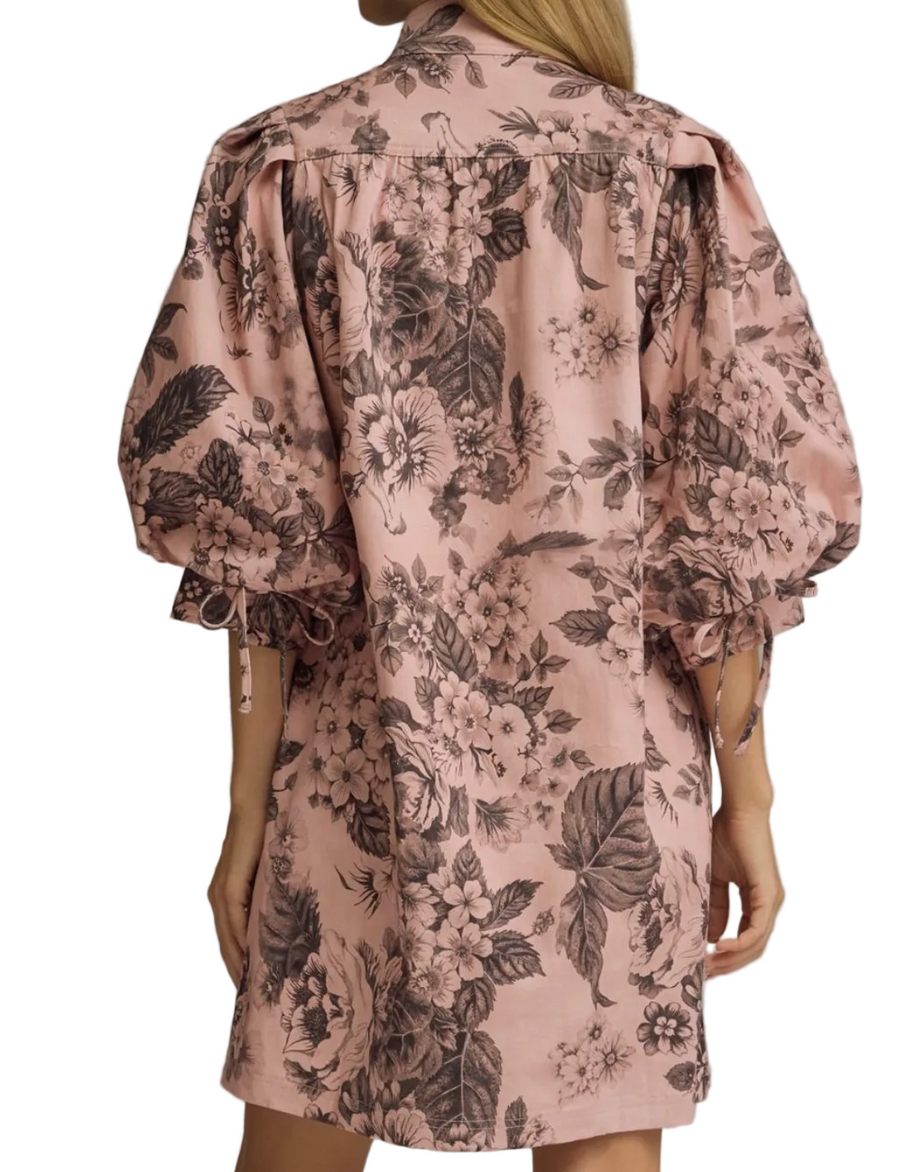 Antique Rose Dress